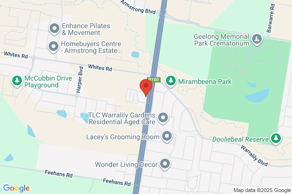 Geelong Airport