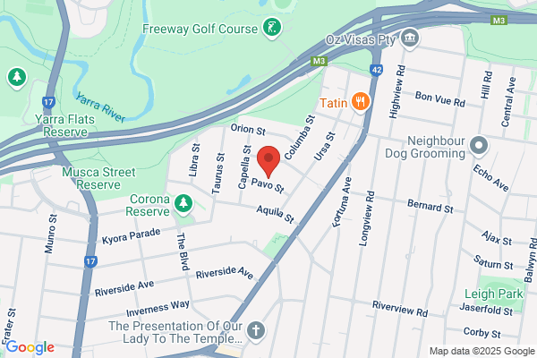 Australian Equine Dental Practice Yarra Valley