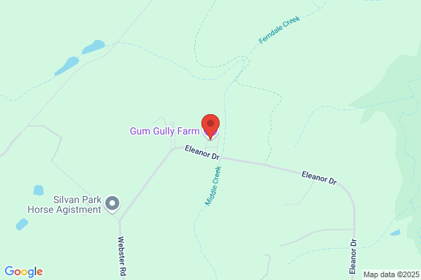 Gum Gully Enterprises