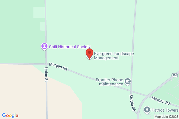 Executive Evergreen Landscaping