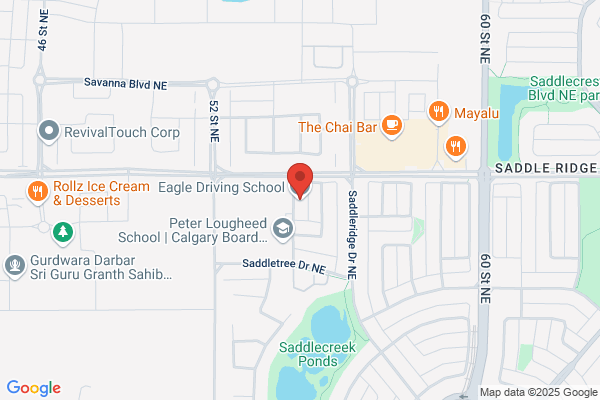 Eagle Driving School