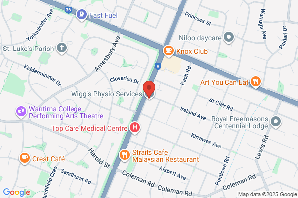 King Club Physiotherapy Centre