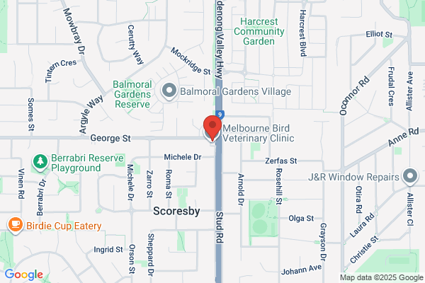 Knox Bird Veterinary Clinic