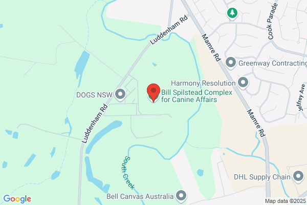 Kazjs Collie Kennels