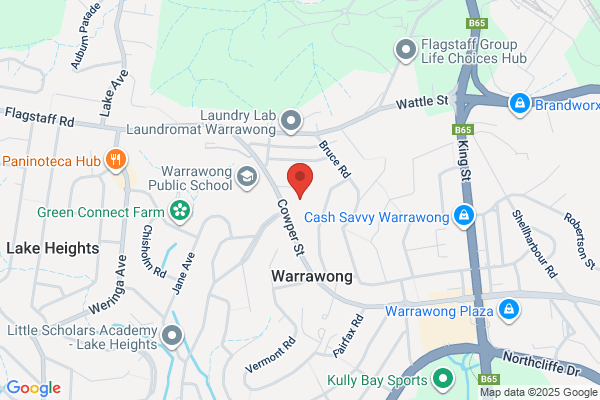 Illawarra Multicultural Village Group Ltd