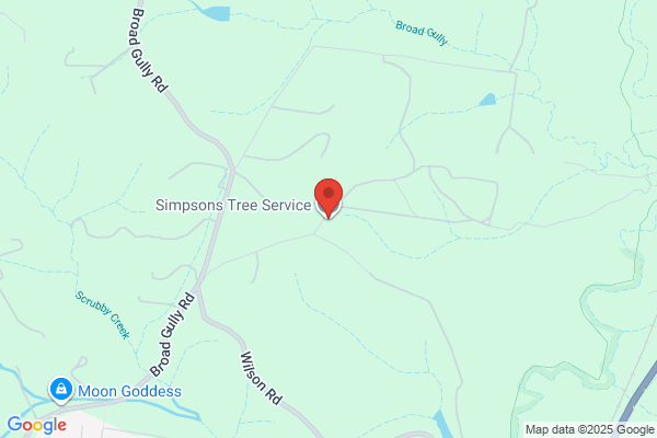 Simpsons Tree Service Pty Ltd