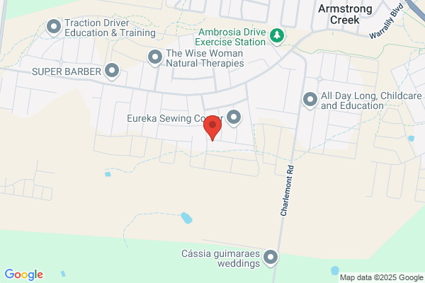 Affordable Carpet Cleaning