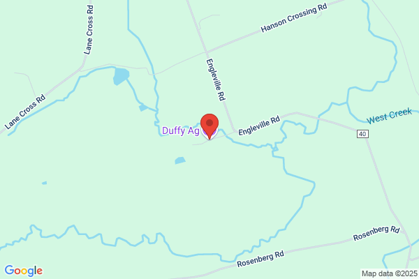Duffy T