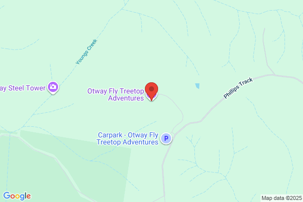 Otway Fly Treetop Adventures