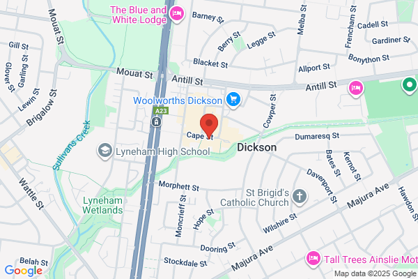 Dickson Optical