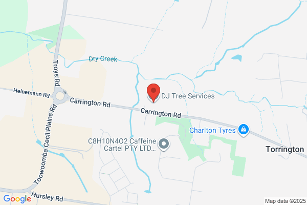 DJ Tree Services