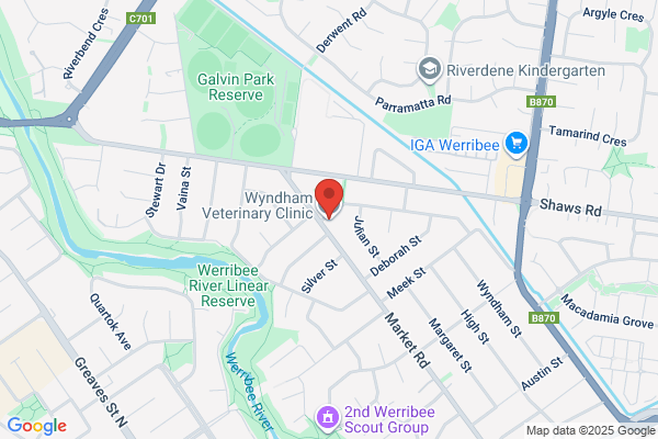 Wyndham Veterinary Clinic