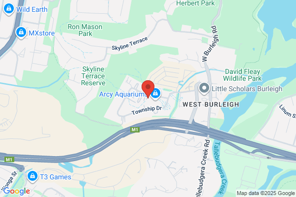 Dan the Sparky Man