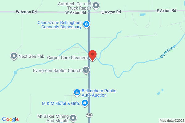 Carpet Care Cleaners