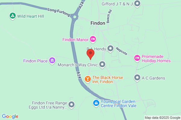 Findon High