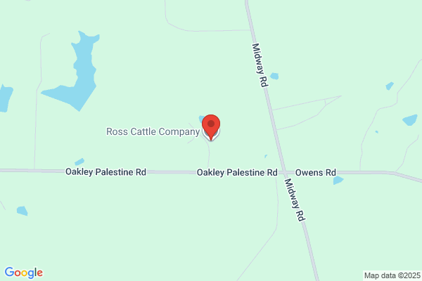 Cattle Ross N