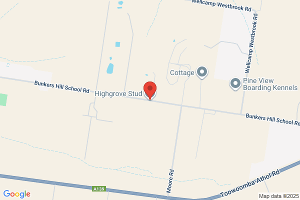 Highgrove Stud