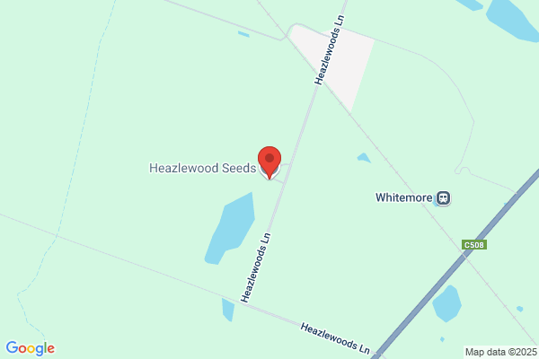 Heazlewood Seeds