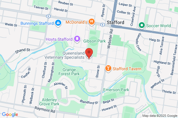 Queensland Veterinary Specialists