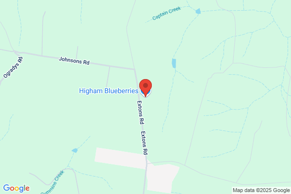 Higham Blueberries