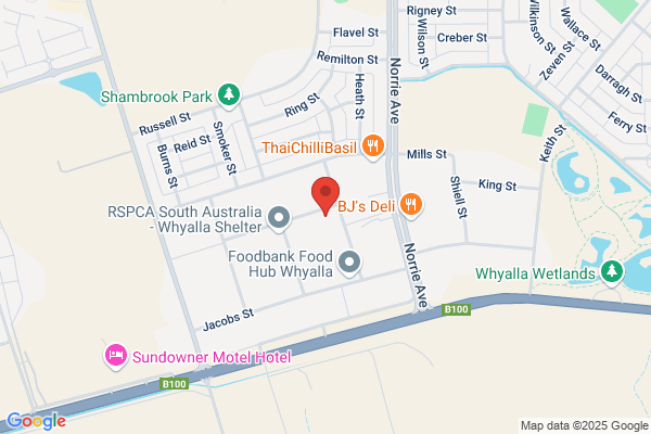 Ace Self Storage Whyalla