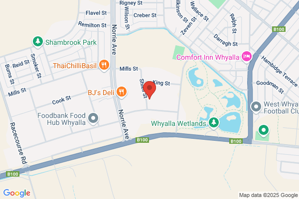 Diesel Fuel Injection Service (Whyalla)
