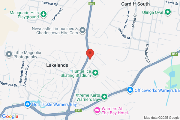 Diesel Specialist Services