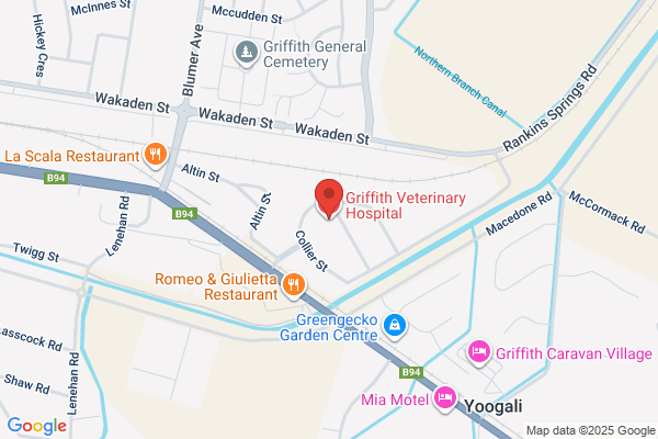 Griffith Veterinary Hospital