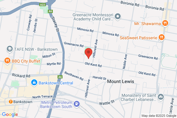Pro Gutter Cleaning Sydney