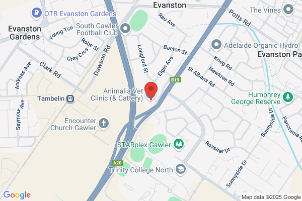 Gawler Supportive Care