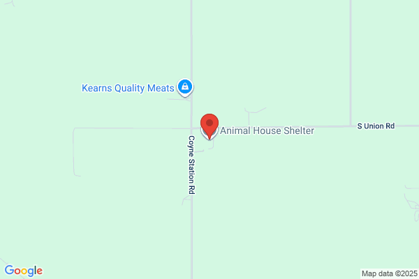 Animal House Animal Agencies