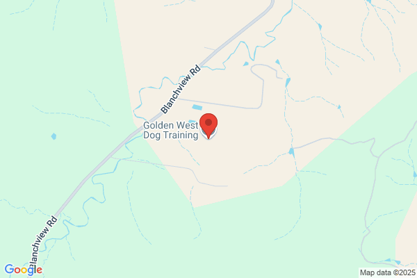 Golden West Dog Training