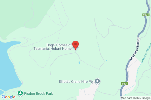 Dogs' Homes Of Tasmania