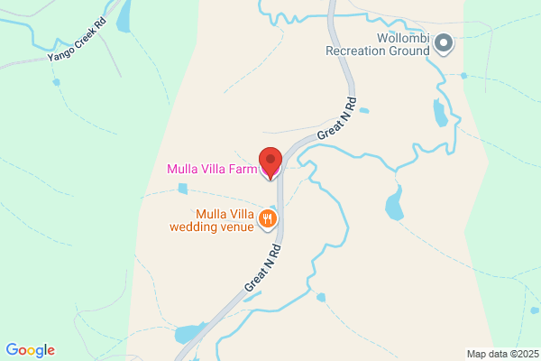 Guest House Mulla Villa