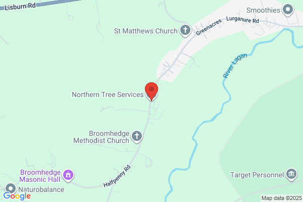 Northern Tree Services