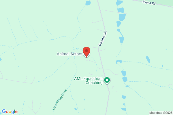 Australian Animal Actors