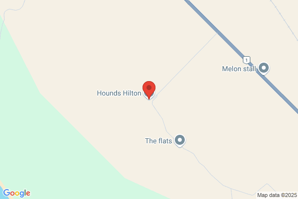 Hounds Hilton