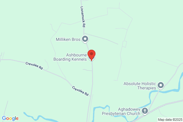 Ashbourne Kennels