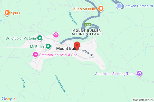 Alpine Retreat Ski Lodge