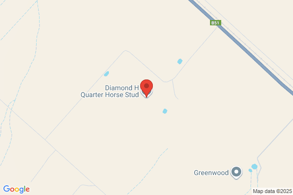 Diamond H Quarter Horse Stud