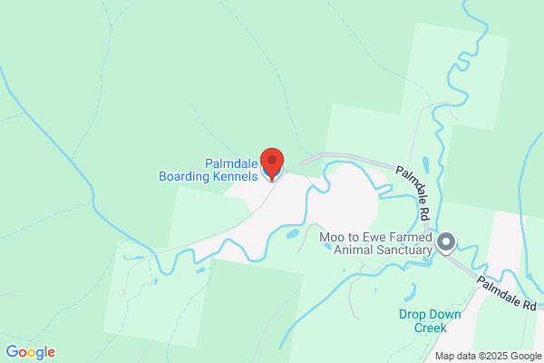 Ivydale Kennels