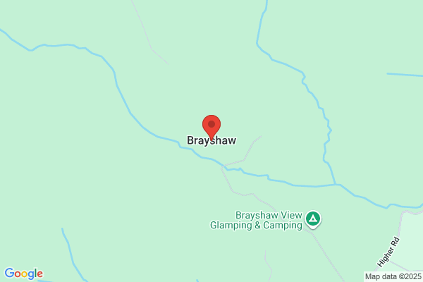 Brayshaw J E