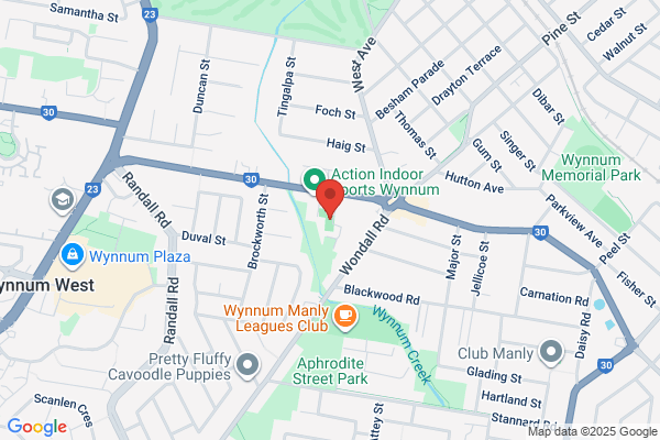 Carpet Cleaning Wynnum