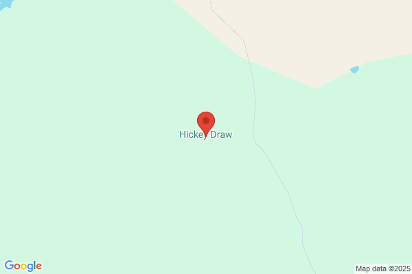 Hickey Bede