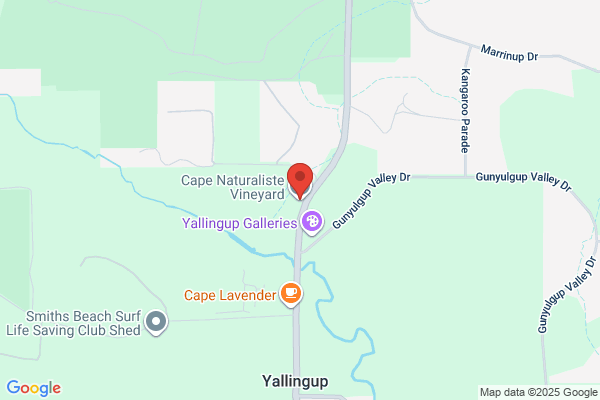 Cape Naturalist Vineyard