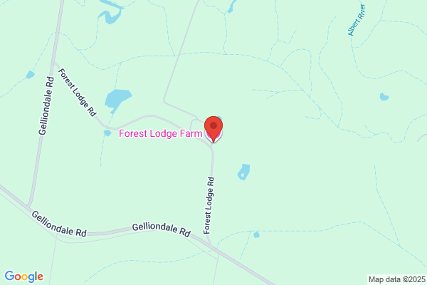 Forest Lodge Farm