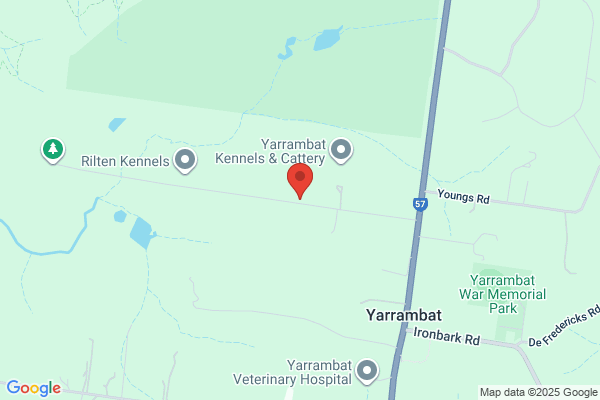 A.B.C. Of Signs