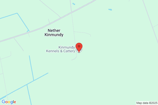 Duffton Boarding Kennels & Cattery