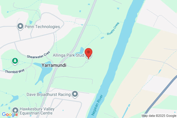 Allinga Park Stud