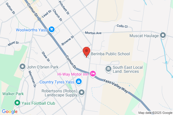 Berinba Public School